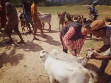 पि.पि.आर रोग बिरुद्द खोप अभियान ३