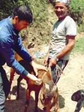 पि.पि.आर रोग बिरुद्द खोप अभियान ५