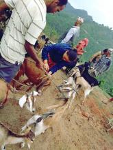 पि.पि.आर रोग बिरुद्द खोप अभियान ६